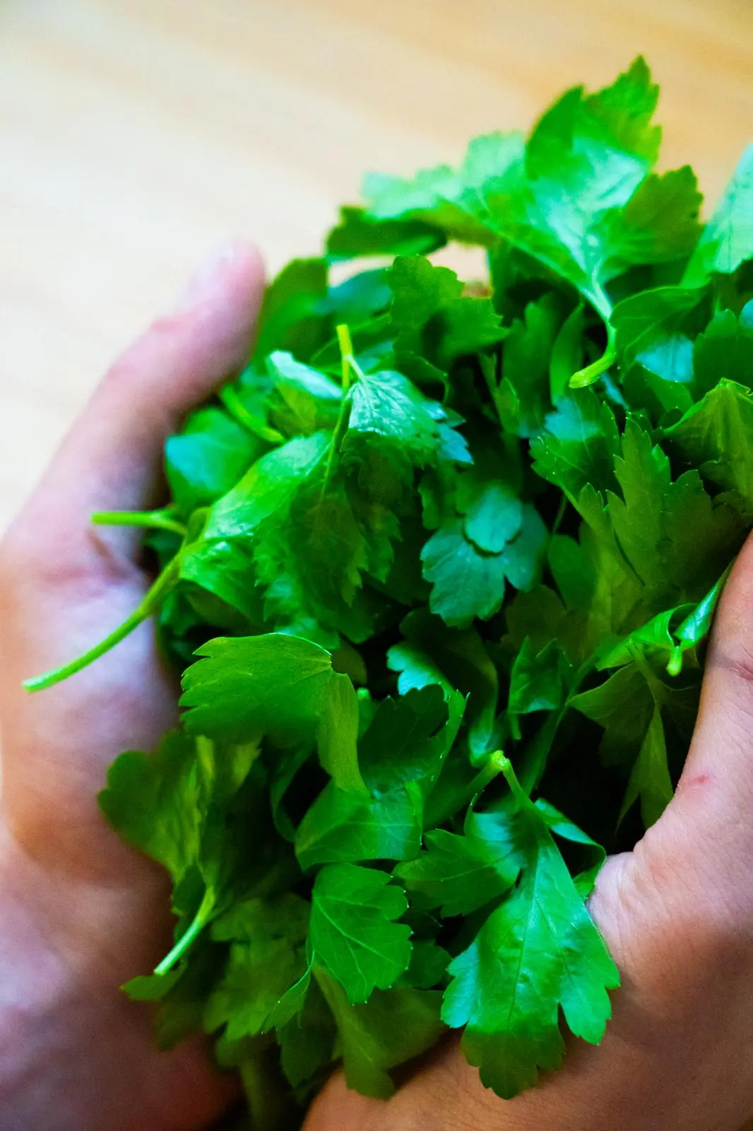 Produits locaux de qualité Pays-Basque Landes, traiteur, mariage, réception